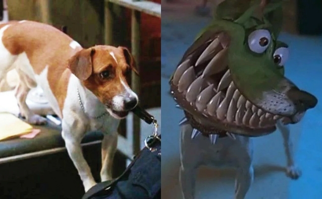 Как звали собаку главного героя фильма «Маска»?