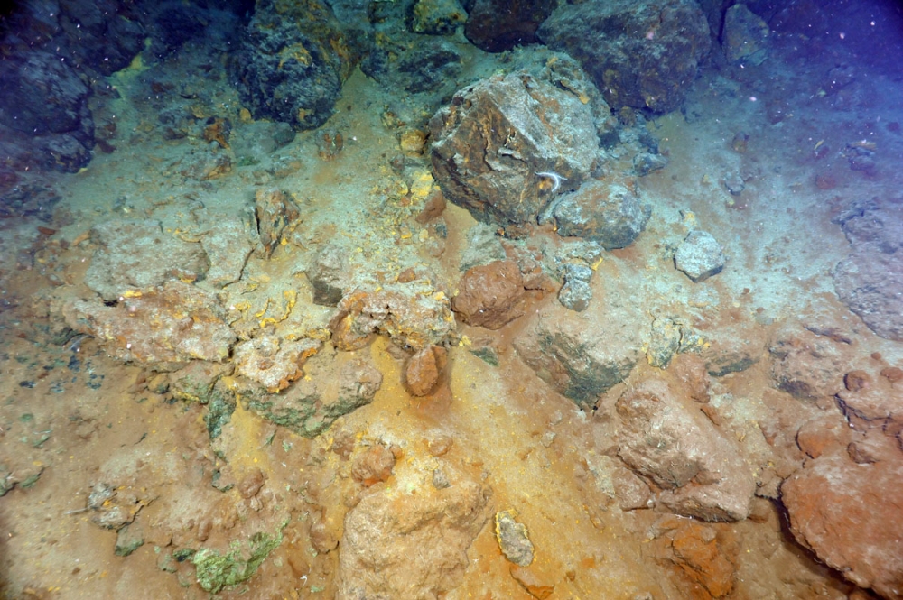 16.	Учёные считают, что в каждой капле морской воды присутствует золото, по их подсчётам мировой океан скрывает в себе около 20 млн. тонн драгоценного металла. Лидирует же по содержанию золота в своих водах