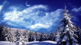 Зимняя сказка! Красивые картинки про зиму