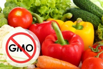 Можно ли есть продукты содержащие ГМО? Ученые говорят да!