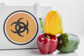 Можно ли есть продукты содержащие ГМО? Ученые говорят да!