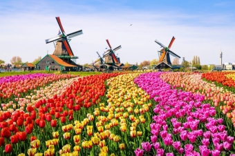 Нидерланды предупреждают о «тревожном росте» инфекций.