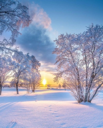 Любимые стихи о зиме!