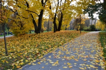 Московская осень