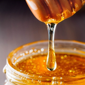 Мёд. Польза продукта пчеловодства для здоровья человека