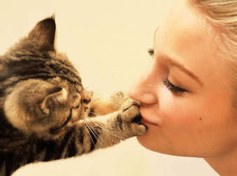 7 признаков любви кота