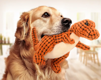 8 простых и веселых игр в помещении для собак