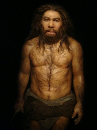 История исчезновения неандертальцев(своими словами)